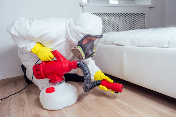 Best Pest Removal Services  in North York, PA